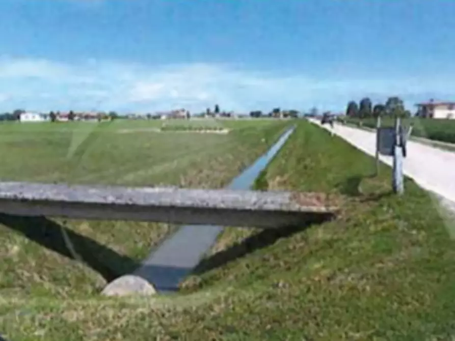 Immagine 4 di Terreno agricolo in vendita  in  Strada dei Piovini a Codevigo