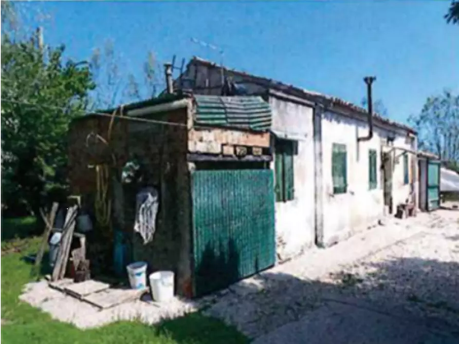 Immagine 5 di Terreno agricolo in vendita  in  Strada dei Piovini a Codevigo