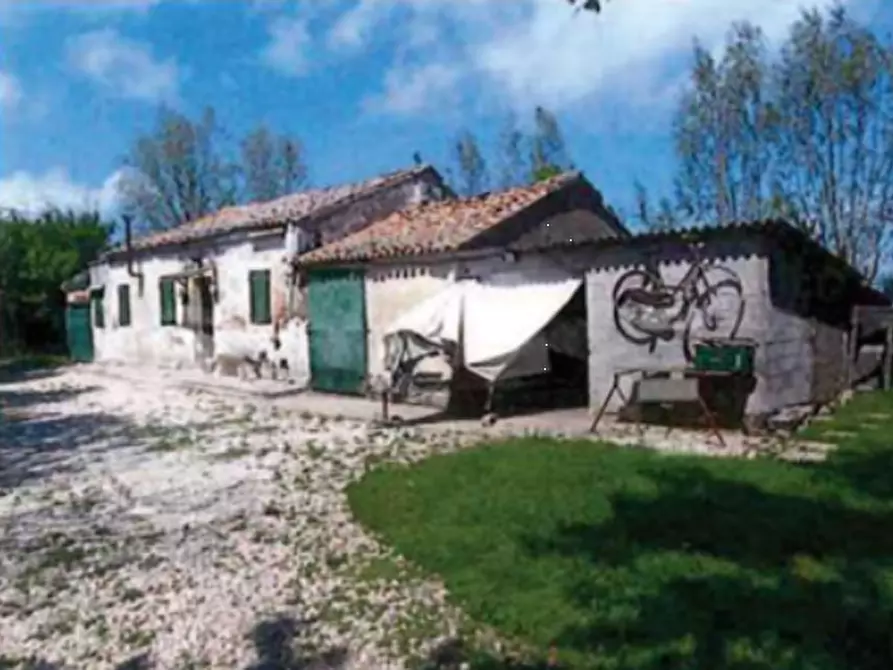 Immagine 6 di Terreno agricolo in vendita  in  Strada dei Piovini a Codevigo