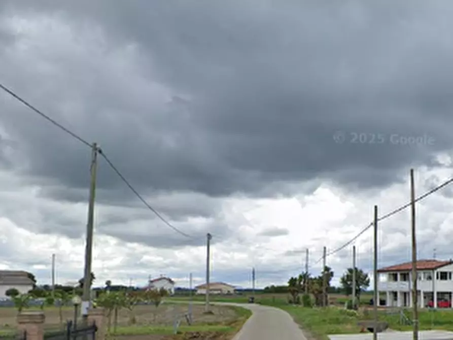 Immagine 7 di Terreno agricolo in vendita  in  Strada dei Piovini a Codevigo