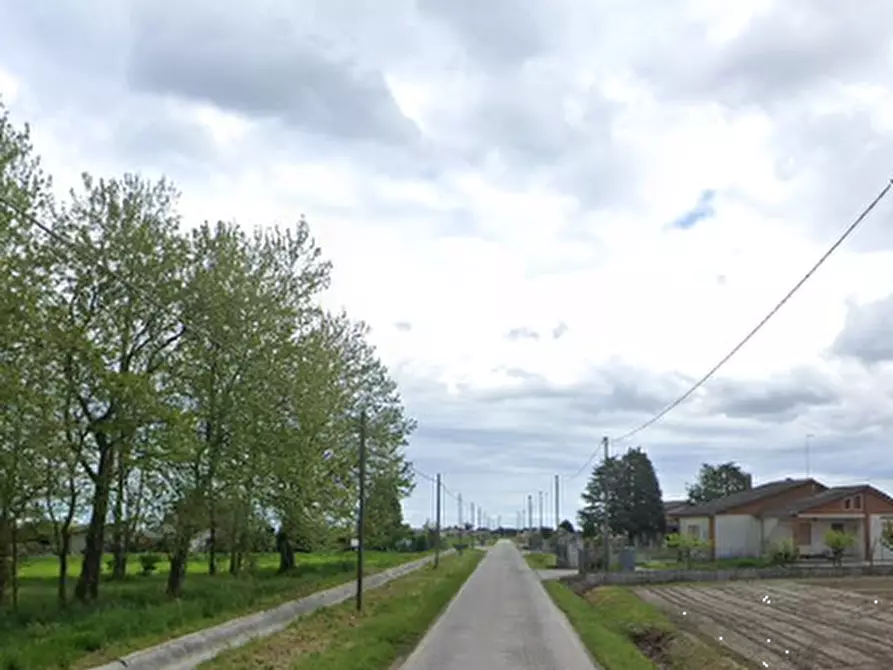Immagine 8 di Terreno agricolo in vendita  in  Strada dei Piovini a Codevigo