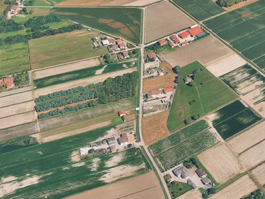 Immagine 9 di Terreno agricolo in vendita  in  Strada dei Piovini a Codevigo