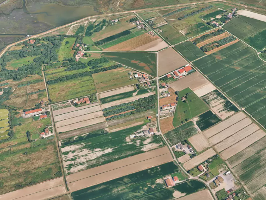 Immagine 10 di Terreno agricolo in vendita  in  Strada dei Piovini a Codevigo