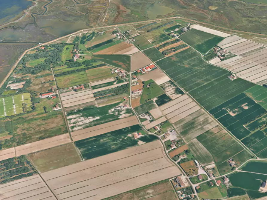 Immagine 11 di Terreno agricolo in vendita  in  Strada dei Piovini a Codevigo