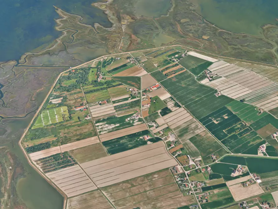 Immagine 12 di Terreno agricolo in vendita  in  Strada dei Piovini a Codevigo