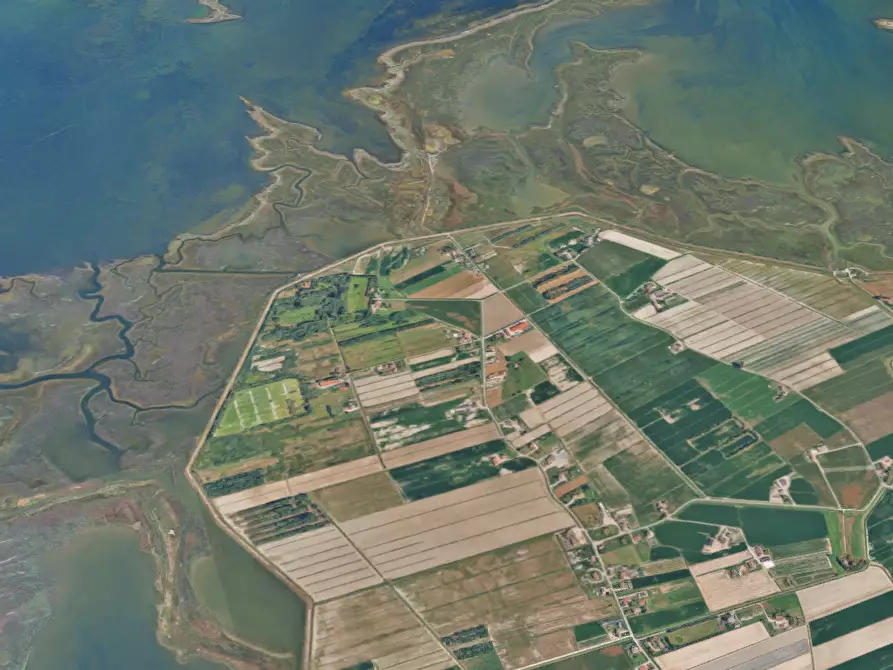 Immagine 13 di Terreno agricolo in vendita  in  Strada dei Piovini a Codevigo