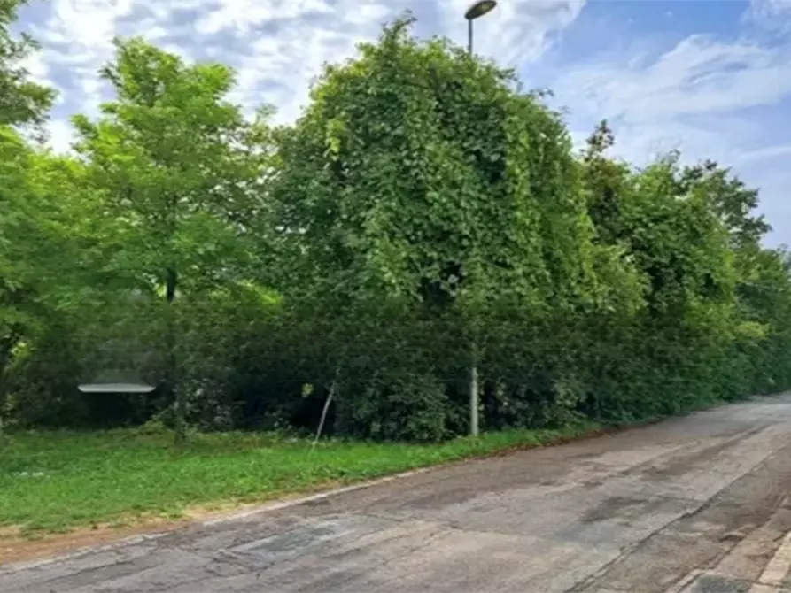 Immagine 2 di Terreno agricolo in vendita  in Località Pordenone a Pordenone