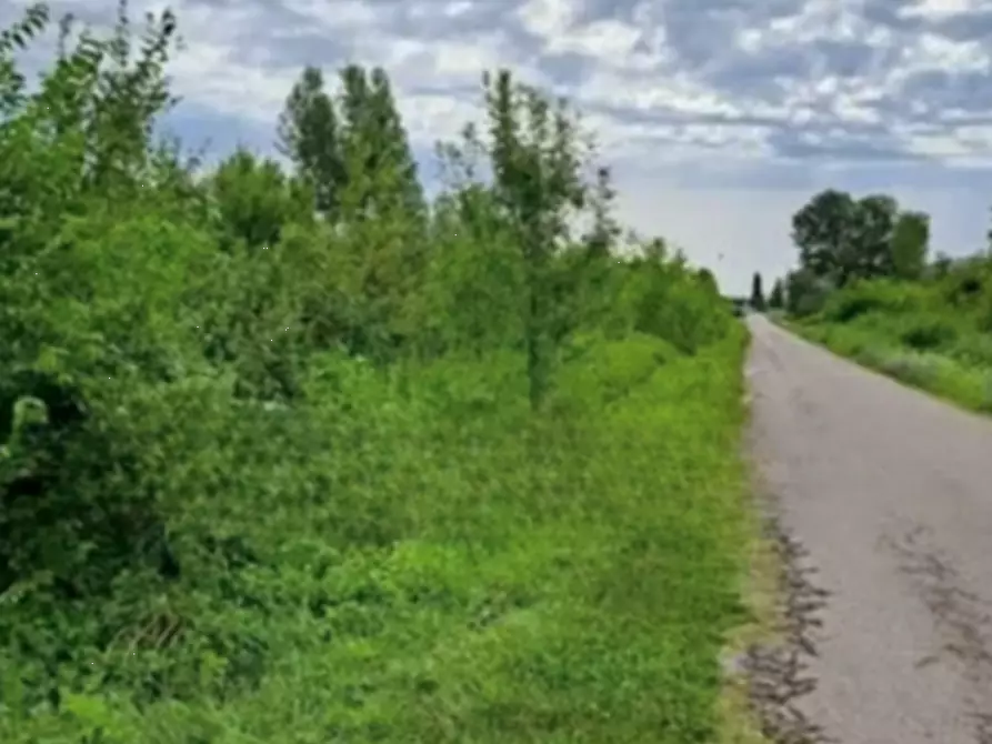 Immagine 3 di Terreno agricolo in vendita  in Località Pordenone a Pordenone