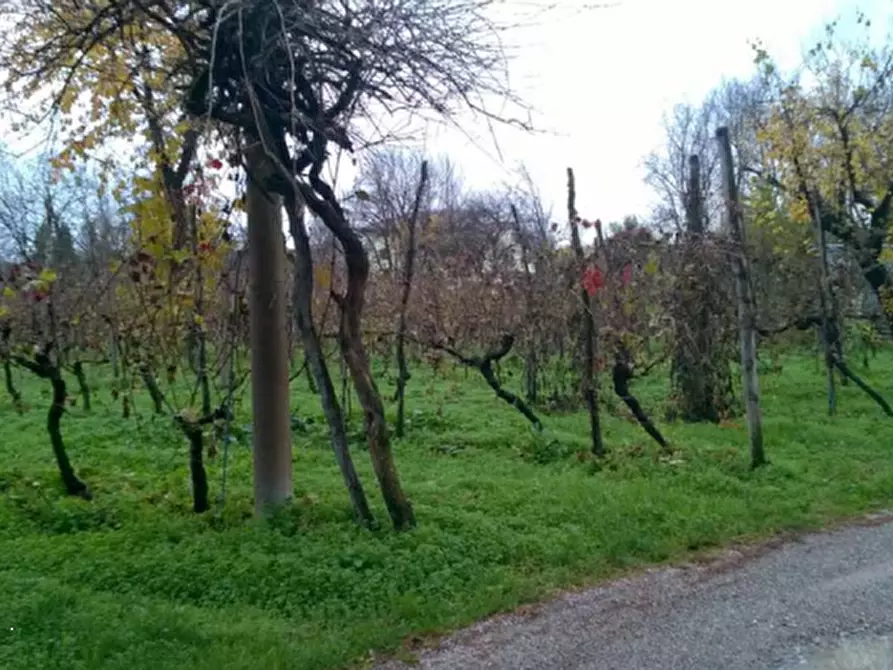 Immagine 7 di Casa indipendente in vendita  in Via C. Lenardon a Vivaro