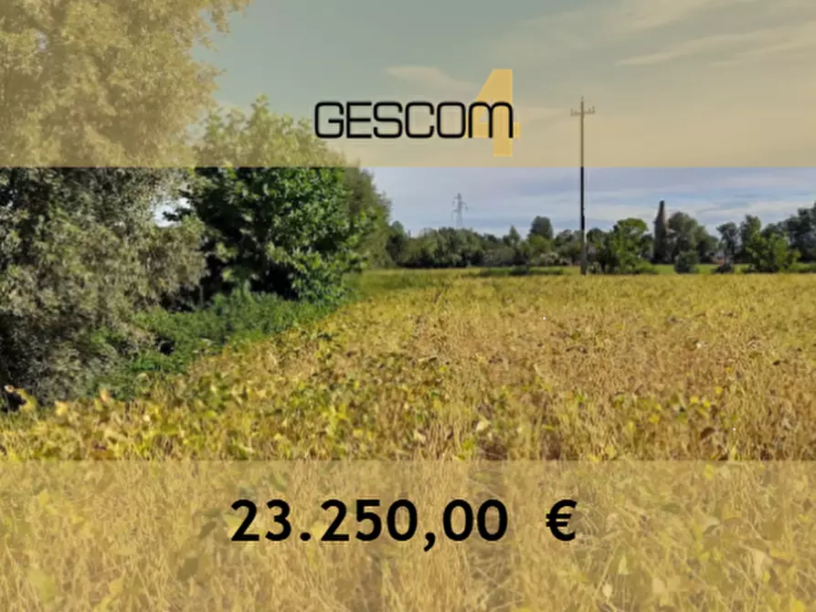 Immagine 1 di Terreno agricolo in vendita  in località Fossalta di Portogruaro a Fossalta Di Portogruaro