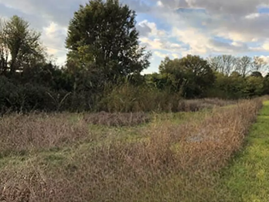 Immagine 2 di Terreno agricolo in vendita  in  via G. Matteotti a Castenedolo