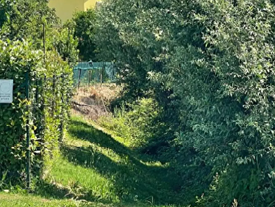 Immagine 3 di Terreno agricolo in vendita  in Via Giulia a Portogruaro