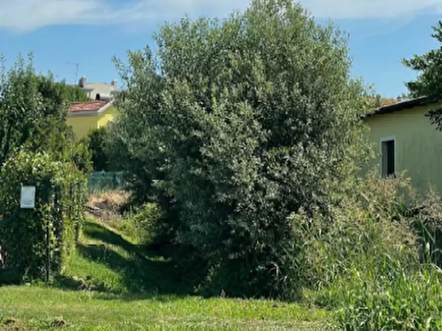 Immagine 5 di Terreno agricolo in vendita  in Via Giulia a Portogruaro