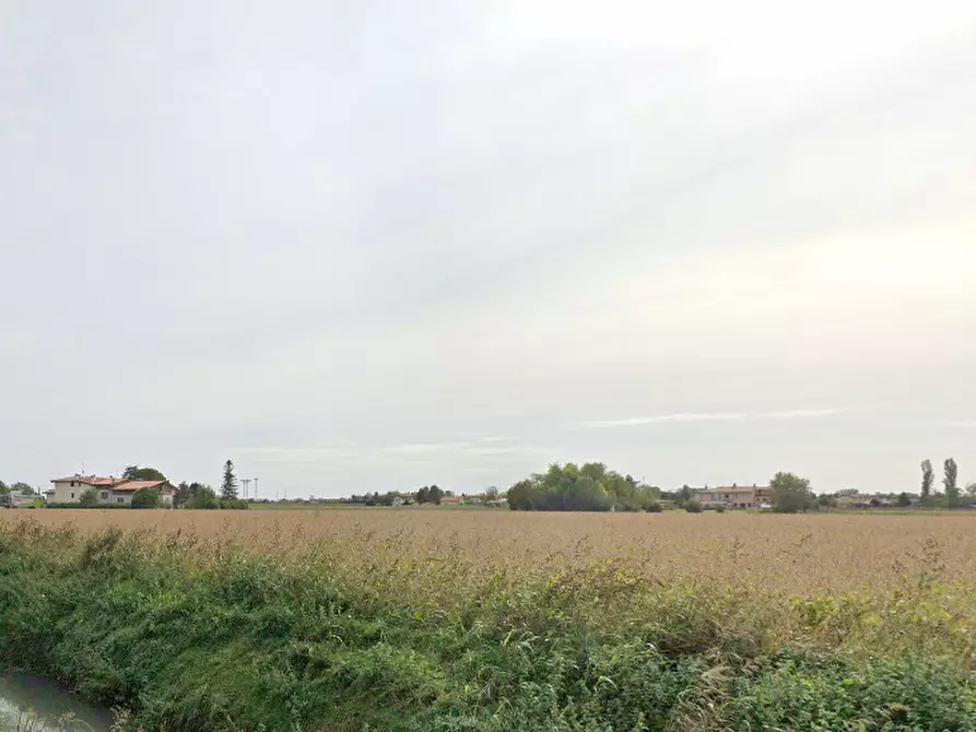 Immagine 6 di Terreno agricolo in vendita  in Via Giulia a Portogruaro