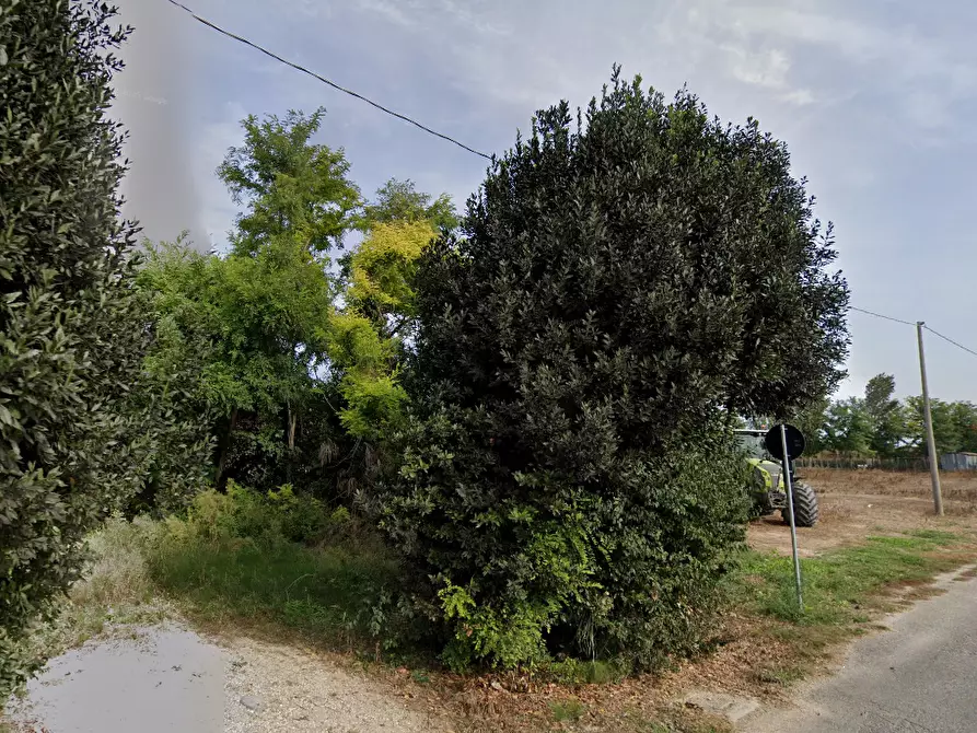 Immagine 7 di Terreno agricolo in vendita  in Via Giulia a Portogruaro