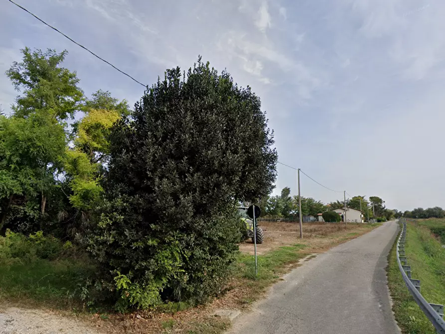 Immagine 8 di Terreno agricolo in vendita  in Via Giulia a Portogruaro