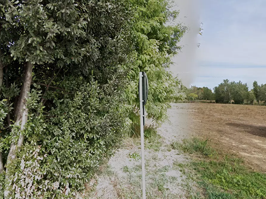 Immagine 9 di Terreno agricolo in vendita  in Via Giulia a Portogruaro