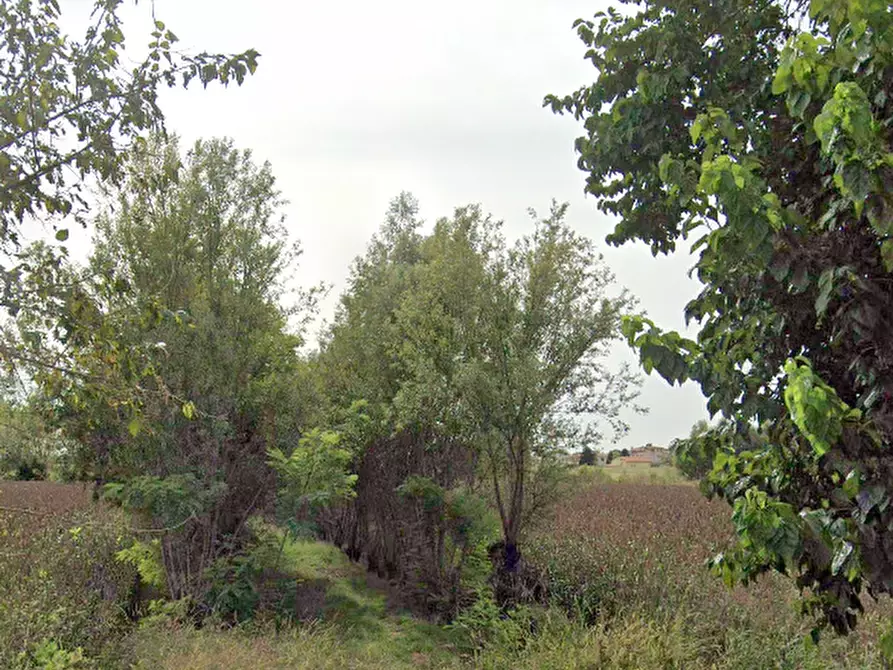 Immagine 11 di Terreno agricolo in vendita  in Via Giulia a Portogruaro