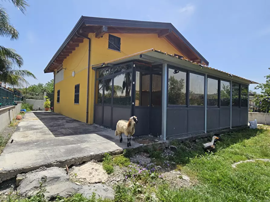 Immagine 5 di Appartamento in vendita  in c.da Guastella a Carlentini