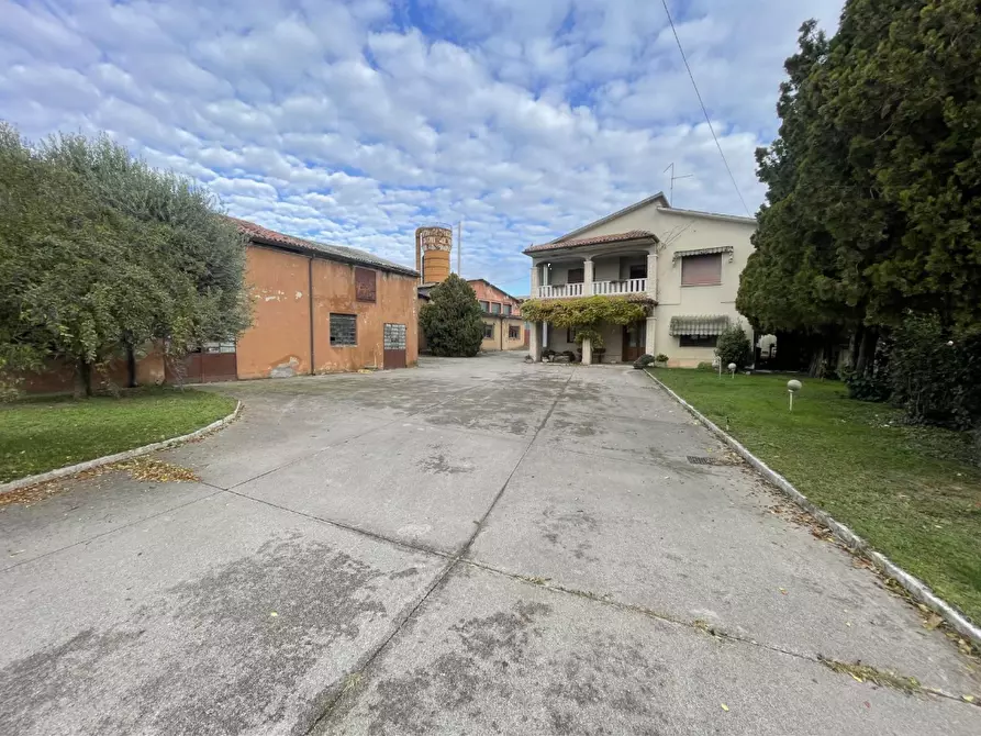 Immagine 2 di Capannone industriale in vendita  in Via Palazzina a San Pietro Di Morubio