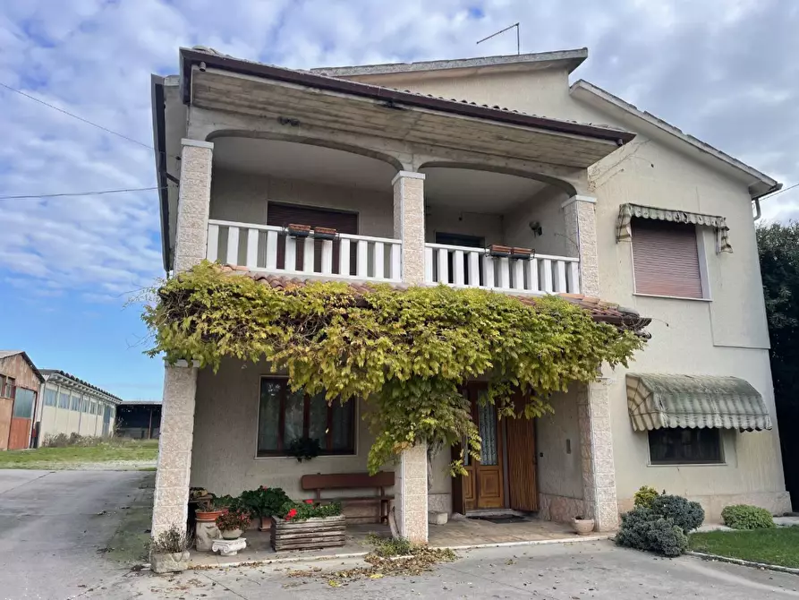 Immagine 3 di Capannone industriale in vendita  in Via Palazzina a San Pietro Di Morubio