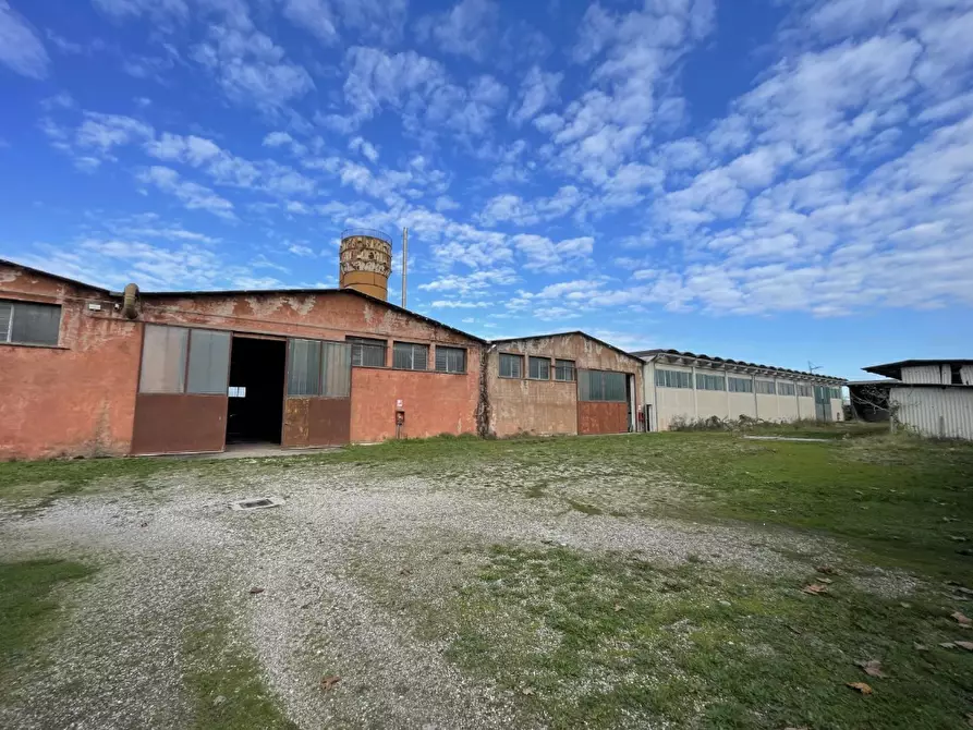 Immagine 4 di Capannone industriale in vendita  in Via Palazzina a San Pietro Di Morubio