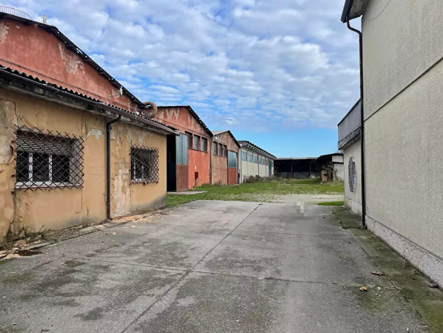 Immagine 5 di Capannone industriale in vendita  in Via Palazzina a San Pietro Di Morubio