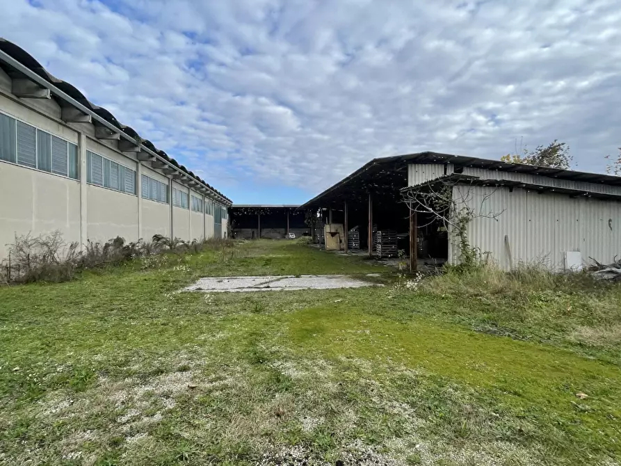 Immagine 7 di Capannone industriale in vendita  in Via Palazzina a San Pietro Di Morubio
