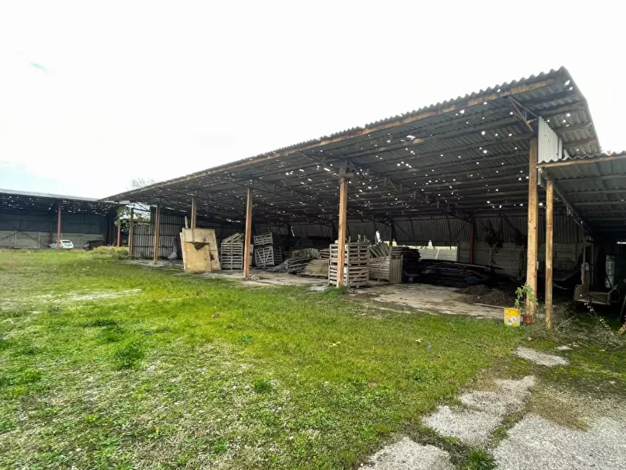 Immagine 8 di Capannone industriale in vendita  in Via Palazzina a San Pietro Di Morubio