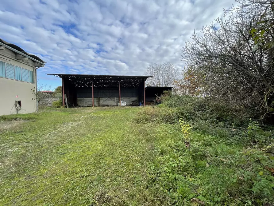 Immagine 9 di Capannone industriale in vendita  in Via Palazzina a San Pietro Di Morubio