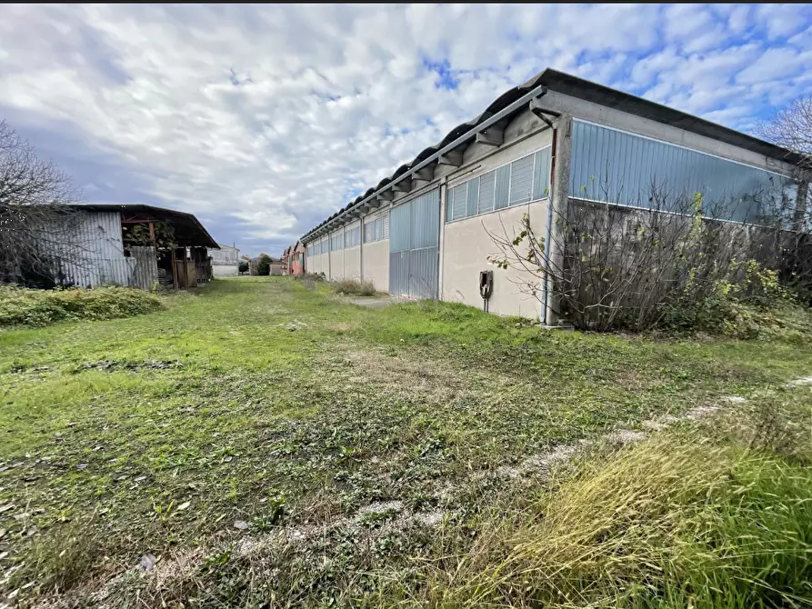 Immagine 10 di Capannone industriale in vendita  in Via Palazzina a San Pietro Di Morubio