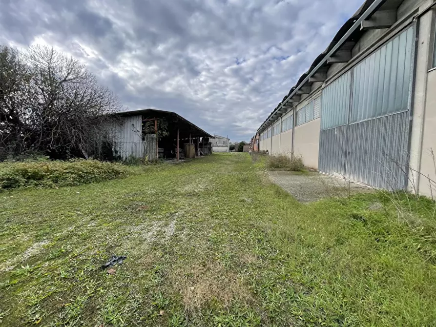 Immagine 11 di Capannone industriale in vendita  in Via Palazzina a San Pietro Di Morubio