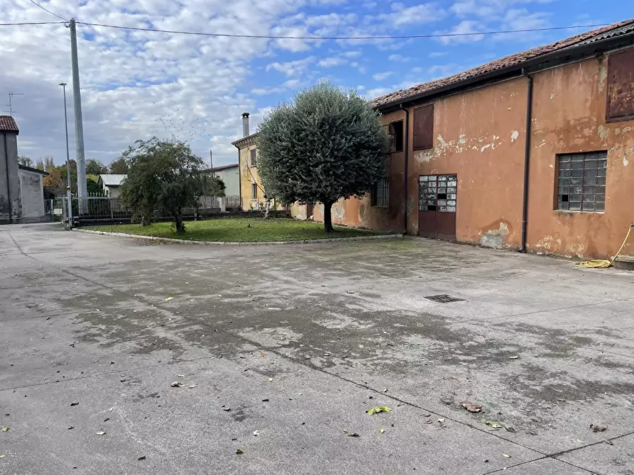 Immagine 12 di Capannone industriale in vendita  in Via Palazzina a San Pietro Di Morubio