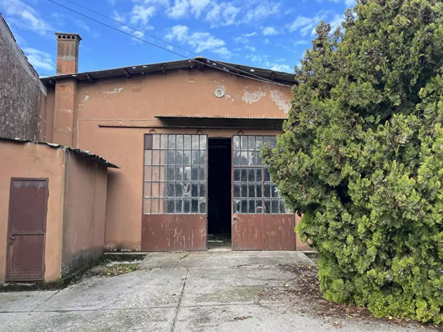 Immagine 13 di Capannone industriale in vendita  in Via Palazzina a San Pietro Di Morubio