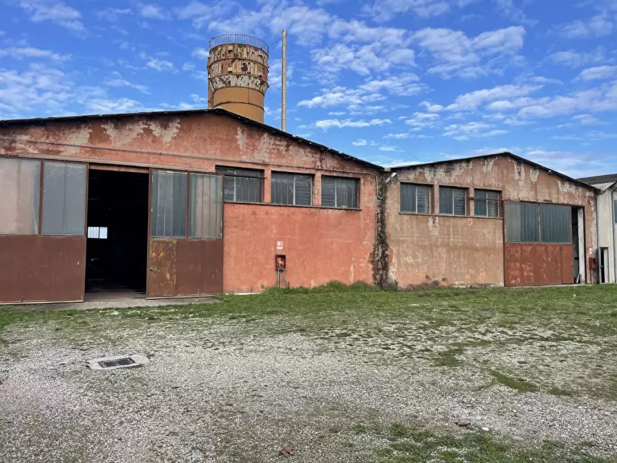 Immagine 14 di Capannone industriale in vendita  in Via Palazzina a San Pietro Di Morubio