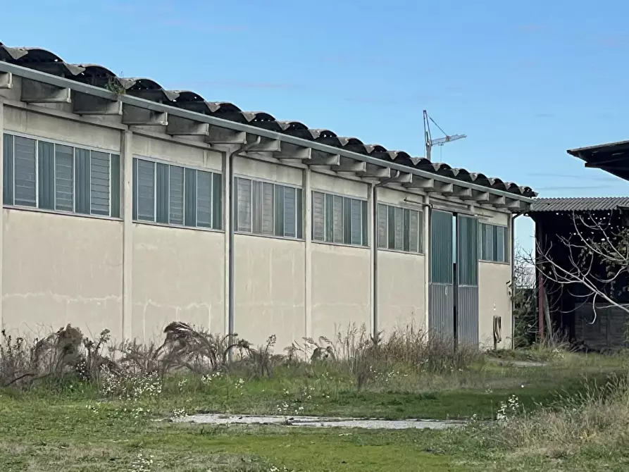 Immagine 15 di Capannone industriale in vendita  in Via Palazzina a San Pietro Di Morubio
