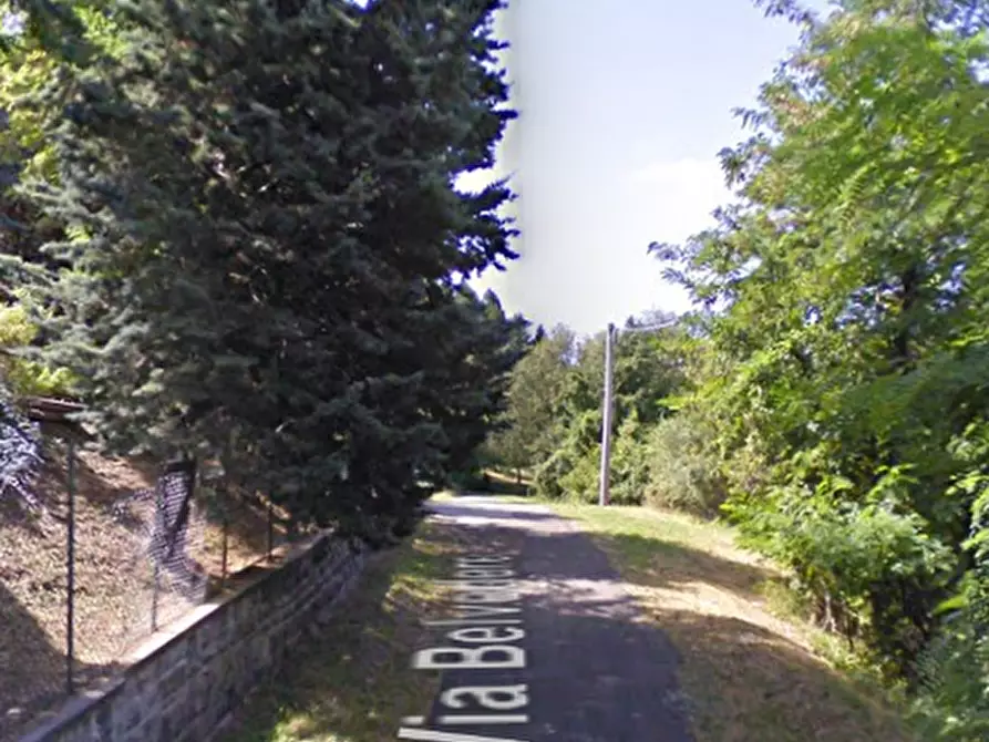 Immagine 8 di Terreno agricolo in vendita  in via Belvedere a Monghidoro