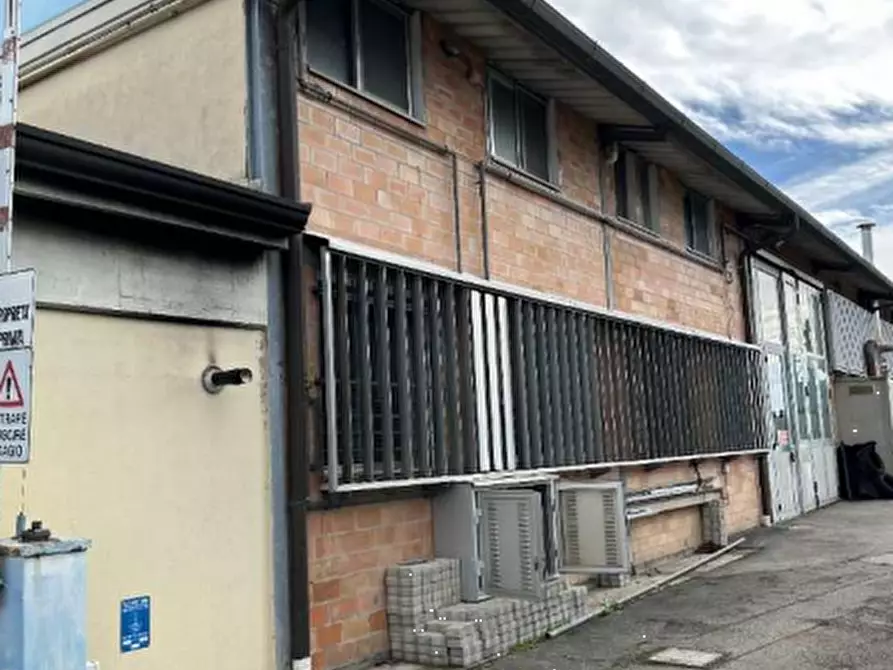 Immagine 7 di Capannone industriale in vendita  in via Tagliamento a Molinella