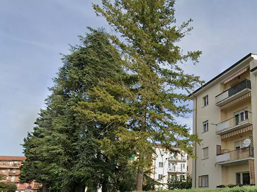 Immagine 18 di Appartamento in vendita  in Via Nicola Scarano a Campobasso