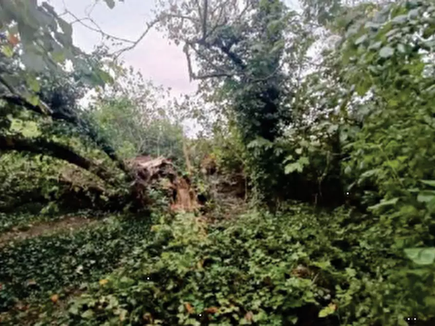 Immagine 14 di Villa in vendita  in Via Roncade a San Biagio Di Callalta