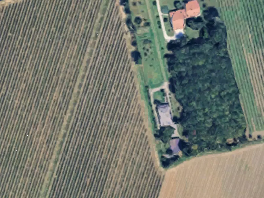 Immagine 19 di Villa in vendita  in Via Roncade a San Biagio Di Callalta