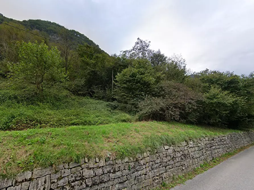 Immagine 25 di Casa indipendente in vendita  in Loc. Canal a Feltre