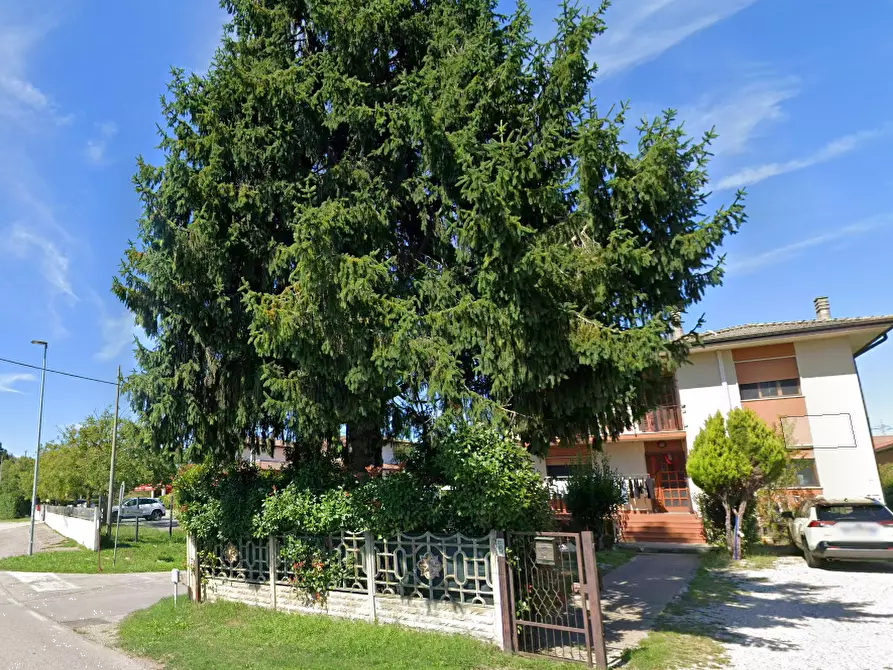 Immagine 7 di Porzione di casa in vendita  in Via Rio S. Martino a Trebaseleghe