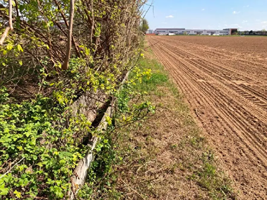 Immagine 2 di Terreno edificabile in vendita  in via Tiso da Camposampiero a Cittadella