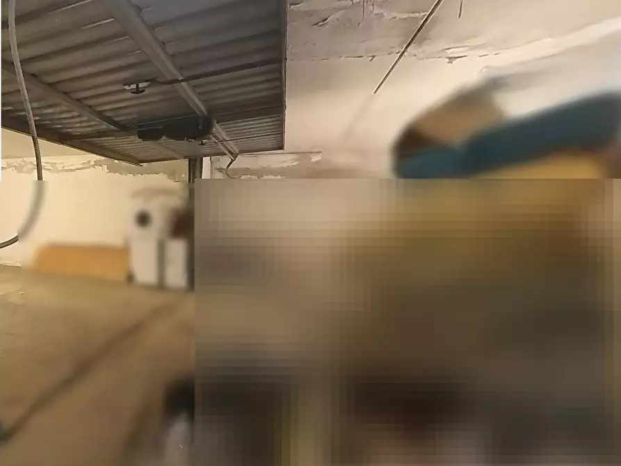 Immagine 13 di Magazzino in vendita  in Via Molini a Lonato del Garda