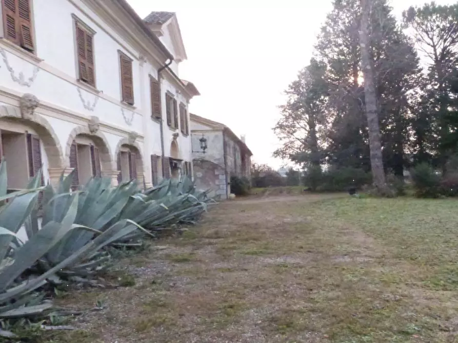 Immagine 6 di Villa in vendita  in Via Roma a Codognè