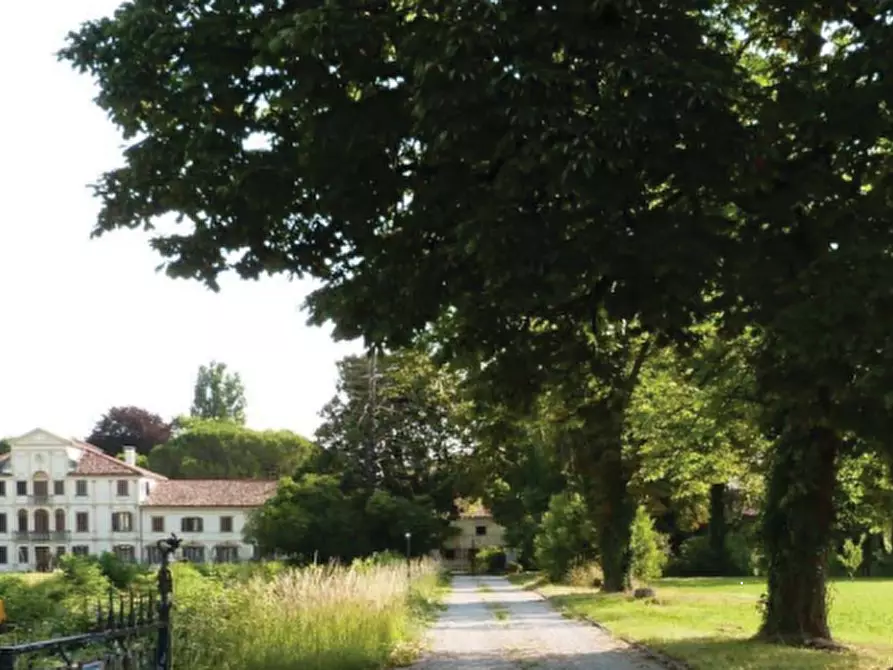 Immagine 30 di Villa in vendita  in Via Roma a Codognè