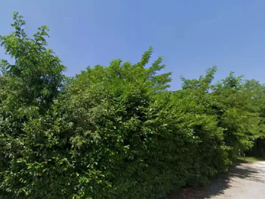 Immagine 4 di Stabile in vendita  in Via Brenta a Nove