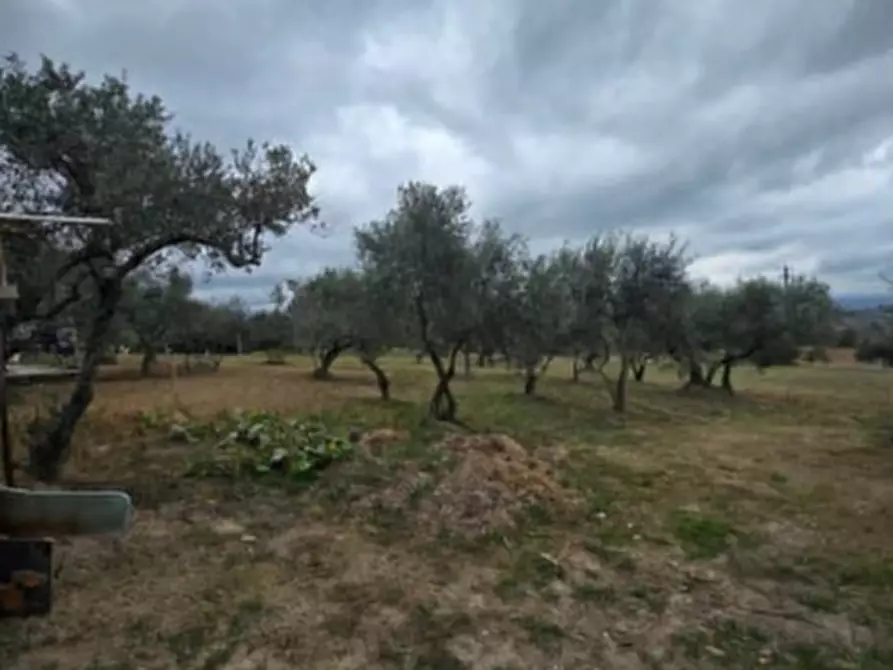 Immagine 6 di Casa indipendente in vendita  in Strada Provinciale a San Giovanni In Galdo