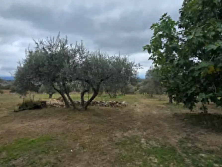 Immagine 7 di Casa indipendente in vendita  in Strada Provinciale a San Giovanni In Galdo